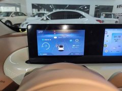 Wuling Binguo 2025 333km Joy Edition - ფოტო 12