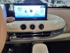 Wuling Binguo 2025 333km Joy Edition - ფოტო 13