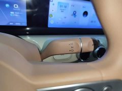Wuling Binguo 2025 333km Joy Edition - ფოტო 14