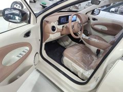 Wuling Binguo 2025 333km Joy Edition - ფოტო 16