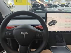 Tesla Model Y Rear-Wheel Drive - ფოტო 11
