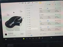 Tesla Model Y Rear-Wheel Drive - ფოტო 12