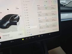 Tesla Model Y Rear-Wheel Drive - ფოტო 13