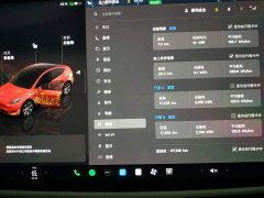 Tesla Model Y 2022 Facelift Rear-Wheel Drive - ფოტო 12