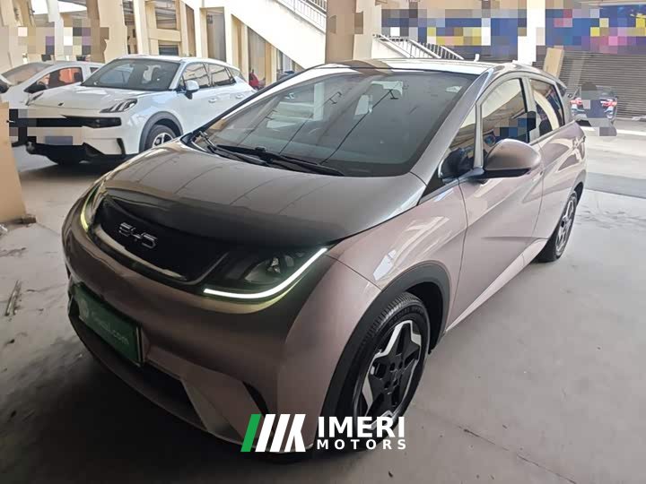BYD Dolphin 405km Fashion Edition - ავტომობილი ჩინეთიდან