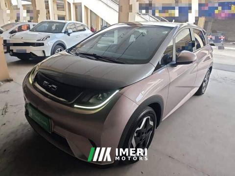 2022 BYD Dolphin 405km Fashion Edition