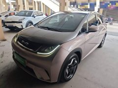 BYD Dolphin 405km Fashion Edition - ფოტო 2