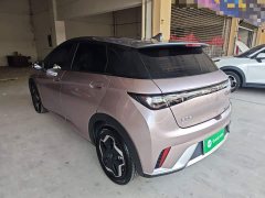 BYD Dolphin 405km Fashion Edition - ფოტო 5