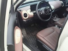 Wuling Binguo 333km Joy Edition - ფოტო 16
