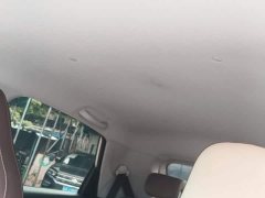 Wuling Binguo 333km Joy Edition - ფოტო 18