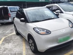 Wuling Binguo 333km Joy Edition - ფოტო 4