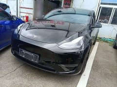 Tesla Model Y Long Range All-Wheel Drive - ფოტო 1