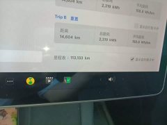 Tesla Model Y Long Range All-Wheel Drive - ფოტო 12
