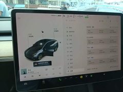 Tesla Model Y Long Range All-Wheel Drive - ფოტო 13