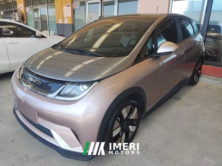BYD Dolphin 401km Knight Edition - ავტომობილი ჩინეთიდან