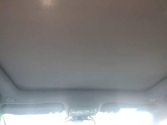 BYD Dolphin 401km Knight Edition - ფოტო 18