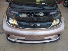 BYD Dolphin 401km Knight Edition - ფოტო 20