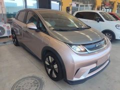 BYD Dolphin 401km Knight Edition - ფოტო 4