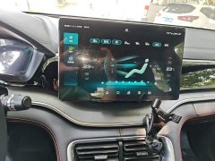 BYD Song Plus 2020 1.5T Automatic Flagship - ფოტო 13