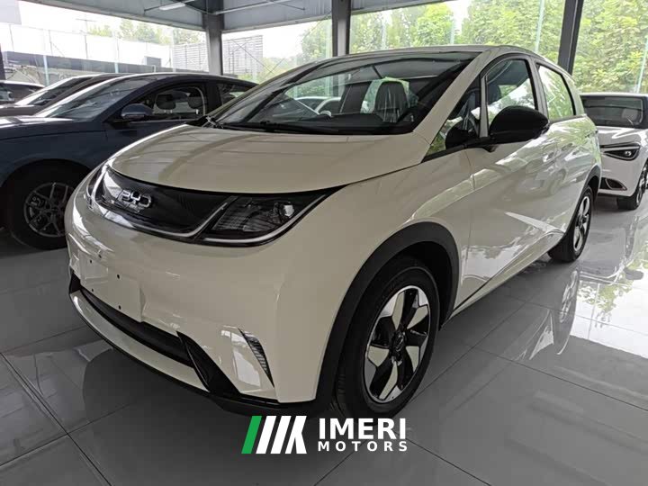 BYD Dolphin 2025 420km Freedom Edition - ავტომობილი ჩინეთიდან