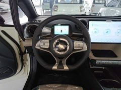 BYD Dolphin 2025 420km Freedom Edition - ფოტო 11