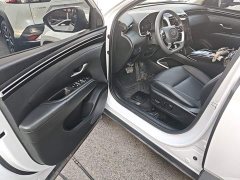 Hyundai Tucson L 1.5T Automatic Two-Wheel Drive GLX Elite - ფოტო 16