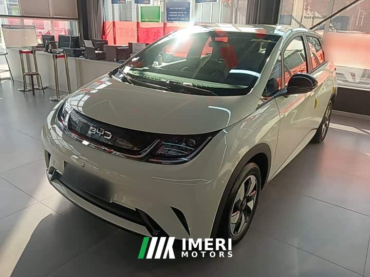 BYD Dolphin 420km Freedom Edition