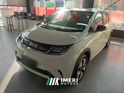 2026 BYD Dolphin 420km Freedom Edition