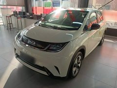 BYD Dolphin 2025 420km Freedom Edition - ფოტო 2