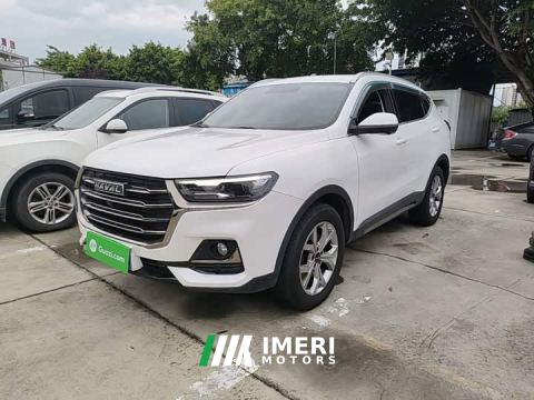 2021 Haval H6 National Trend 1.5GDIT Automatic Champion Edition