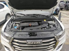 Haval H6 National Trend 1.5GDIT Automatic Champion Edition - ფოტო 20