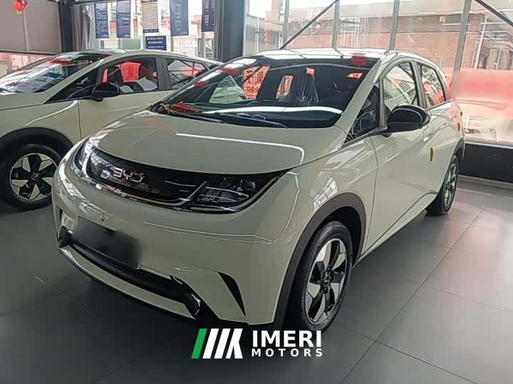 BYD Dolphin 420km Freedom Edition