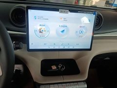 BYD Dolphin 2025 420km Freedom Edition - ფოტო 13