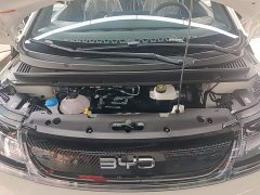 BYD Dolphin 2025 420km Freedom Edition - ფოტო 20