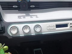 Wuling Hongguang MINIEV 2021 Macaron Fashion Edition LFP Battery - ფოტო 13