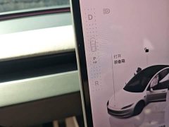 Tesla Model 3 Rear-Wheel Drive - ფოტო 14
