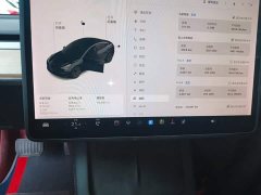 Tesla Model 3 Facelift Standard Range RWD Upgrade 3D1 - ფოტო 12