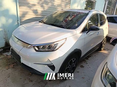 2021 BYD Yuan Pro 401KM Deluxe
