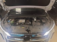 GAC Aion M6 MAX 270T WDCT Luxury - ფოტო 20