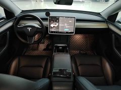 Tesla Model Y Long Range All-Wheel Drive - ფოტო 10