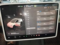Tesla Model Y Long Range All-Wheel Drive - ფოტო 12