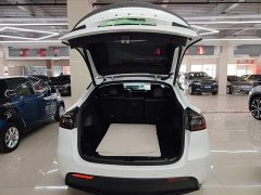Tesla Model Y Long Range All-Wheel Drive - ფოტო 19