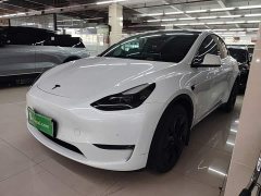 Tesla Model Y Long Range All-Wheel Drive - ფოტო 2