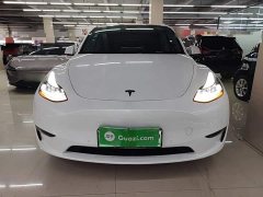 Tesla Model Y Long Range All-Wheel Drive - ფოტო 3