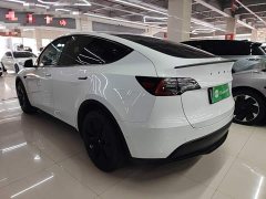 Tesla Model Y Long Range All-Wheel Drive - ფოტო 5