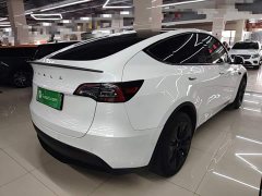 Tesla Model Y Long Range All-Wheel Drive - ფოტო 7