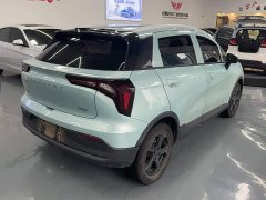 Geely Geometry E Firefly 320KM Cute Tiger 4-Seater - ფოტო 9