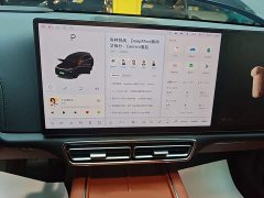 Li Auto L8 2023 Pro - ფოტო 13