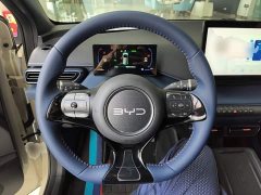 BYD Seagull Glory Edition 405km Flying Edition - ფოტო 11