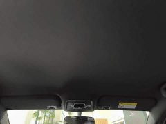 BYD Seagull Glory Edition 405km Flying Edition - ფოტო 18